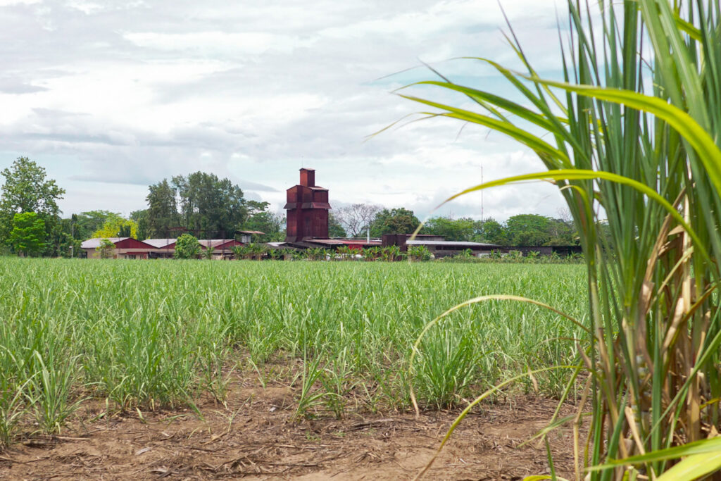 Photo of CICHISA distillery.